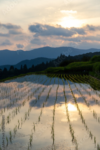 夕暮れの久留米木の棚田