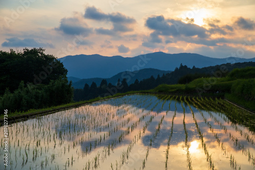 夕暮れの久留米木の棚田