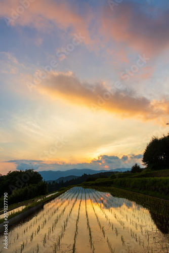 夕暮れの久留米木の棚田