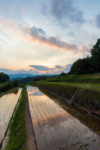 夕暮れの久留米木の棚田