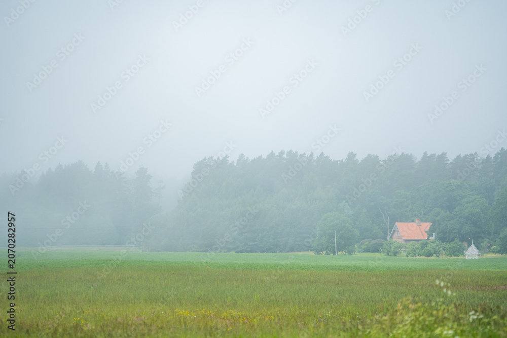 Fototapeta premium Rural Landscape With Farmhouse