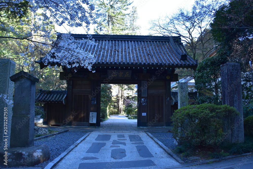 Fototapeta premium 宮城県 仙台市の瑞鳳寺