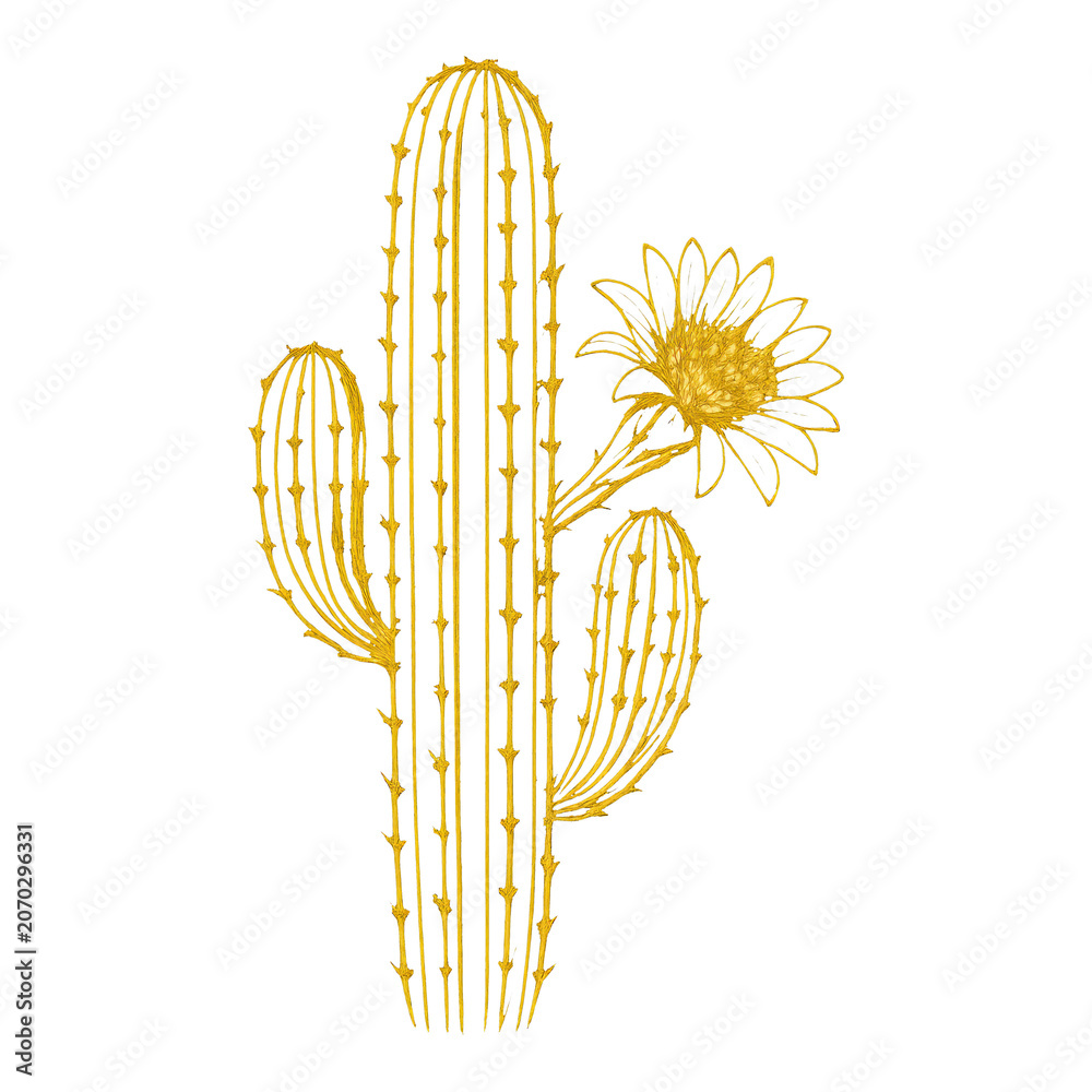 Fototapeta premium PNG Golden cactus with blooming flower.