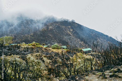 Saddle Hut Camp Nestled in the Alpine Heath and Moorland Zone Against a Foggy Mountain Slope, Mount Meru, Tanzania