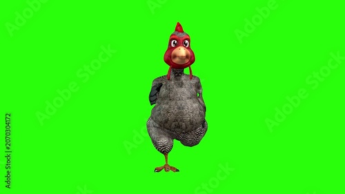 Funny animal video art animation green screen or chroma key