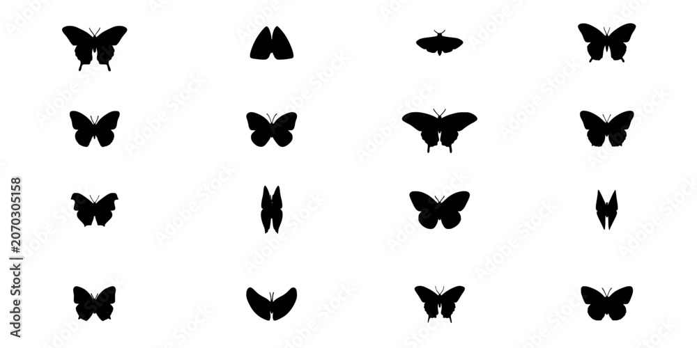 Fototapeta premium Butterflies in Black and White Minimalist Graphic Illustration Featuring Butterfly, Insect, Nature with Design and Vector