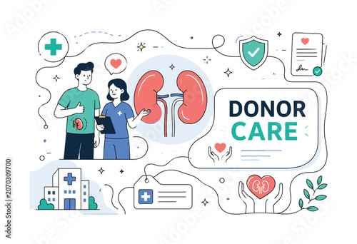 Kidney Donor Banner. Kidney donor, kidney transplant, organ donation and medical support banner with two geometric healthcare characters beside an oversized kidney symbol and large transplant care