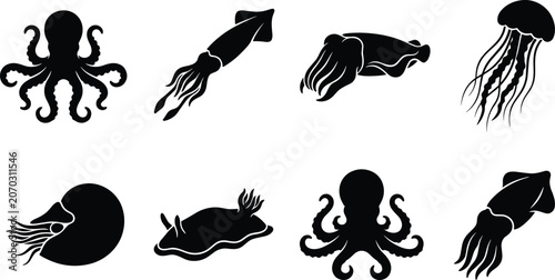 Bild auf Leinwand Collection of cephalopod and marine mollusk black silhouettes including octopus