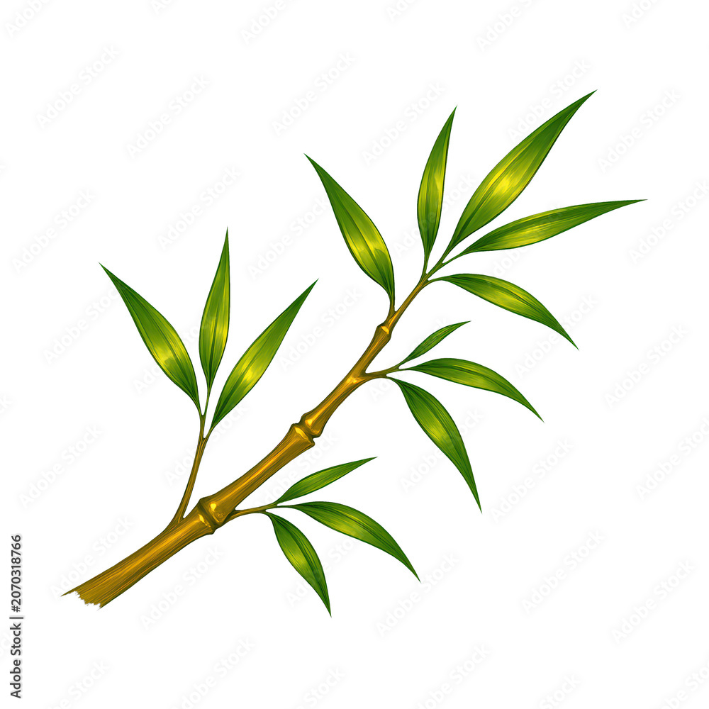 Fototapeta premium PNG Elegant bamboo branch illustration.