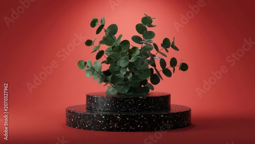Potted Fern Plant In Black Pot On Red Background Minimal Indoor Greenery Still Life
