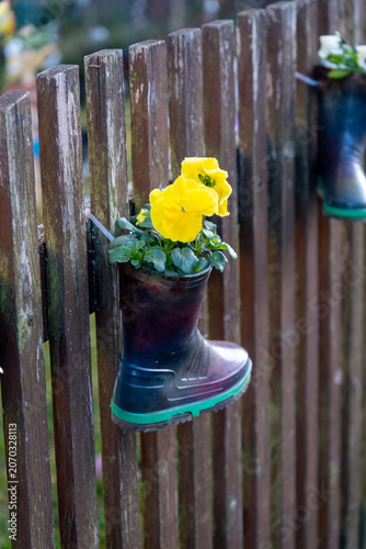 Creative Plant Container, Charming Urban Garden Feature Repurposed From Weathered Rain Boots With Lively Yellow Paint