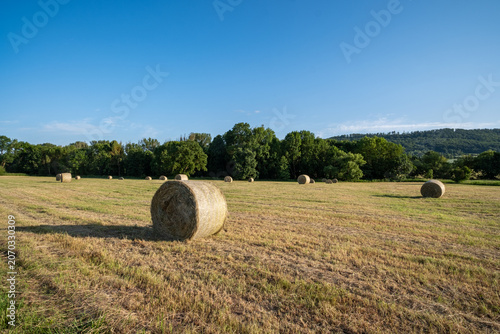 Sunlit rural straw stacks, Sundrenched landscape featuring scattered straw bundles on gently rolling countryside at dusk
