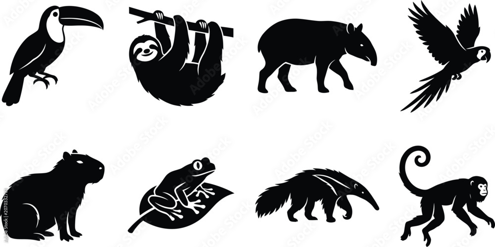 Fototapeta premium Rainforest animal silhouettes including toucan sloth tapir parrot capybara frog and monkey.