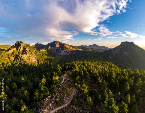 Dramatic Mountain Landscape with Winding Trail Through Pine Forest at Sunset