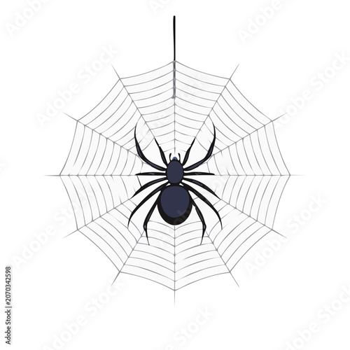 Black spider on geometric web vector illustration