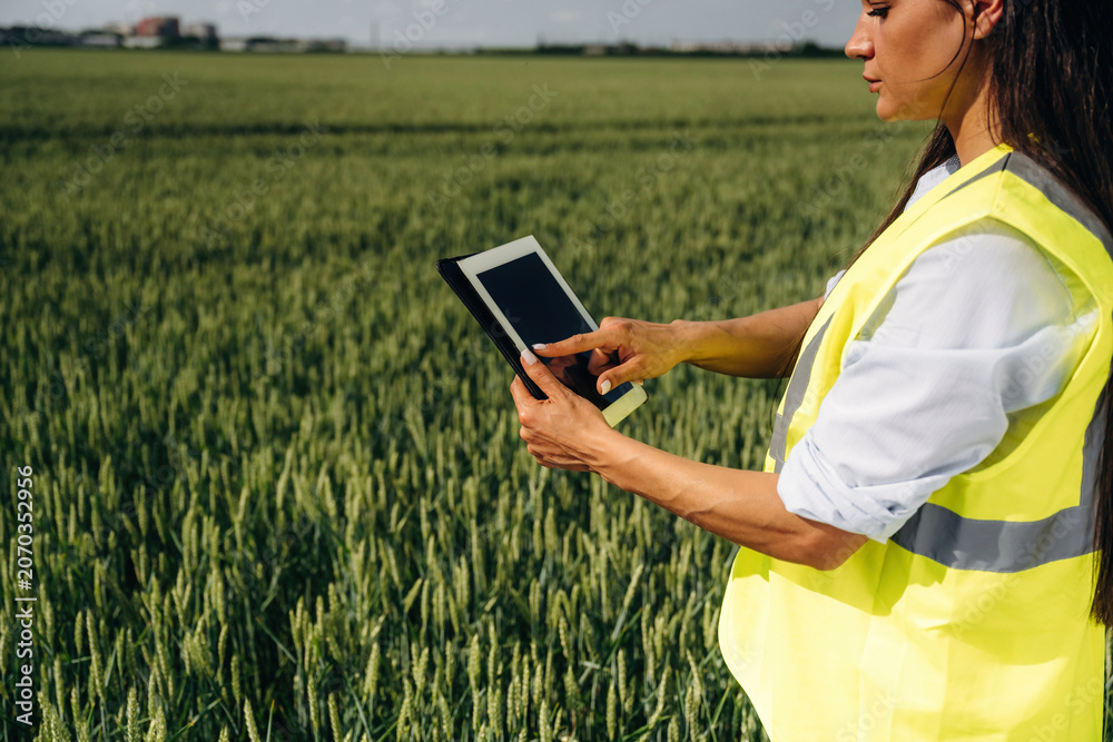 Naklejka premium Female agricultural worker in reflective safety vest using tablet device in green wheat field under clear blue sky with distant buildings visible on the horizon