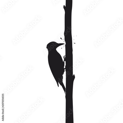 Woodpecker silhouette perched on tree trunk isolated on transparent background.