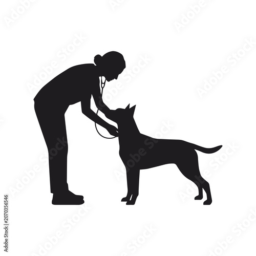 Veterinarian examining dog silhouette isolated on transparent background.