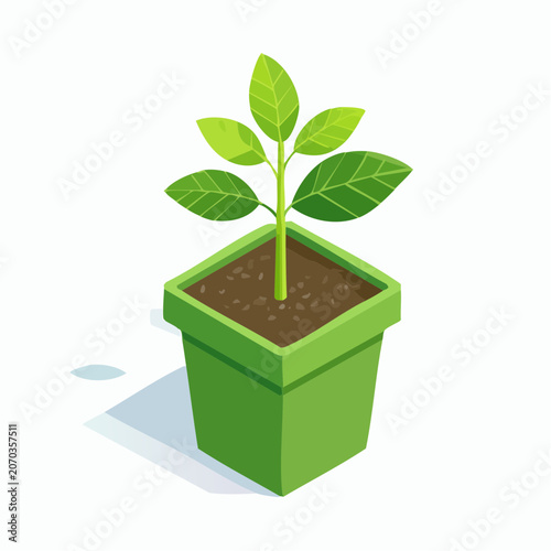 Green plant growing in a square pot with isometric perspective
