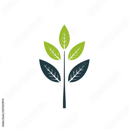 Flat design plant with three leaves on stem
