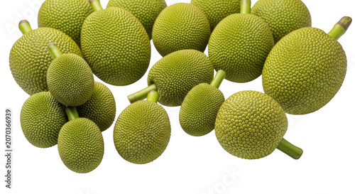 Fresh green breadfruit cluster for healthy tropical cuisine transparent background black background