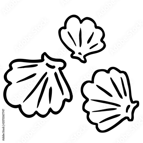 Seashell Line Art Clipart Set | Shell Outline Collection, Coastal Marine Line Art Illustrations
