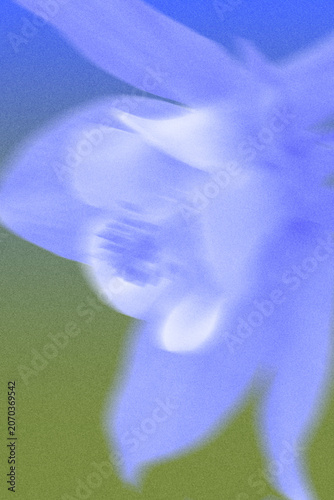 Abstract blurred daffodil flower with grainy noise effect on blue and green gradient background. Trendy vibrant banner template for  advertising, promo, social media, posters, sales discount.