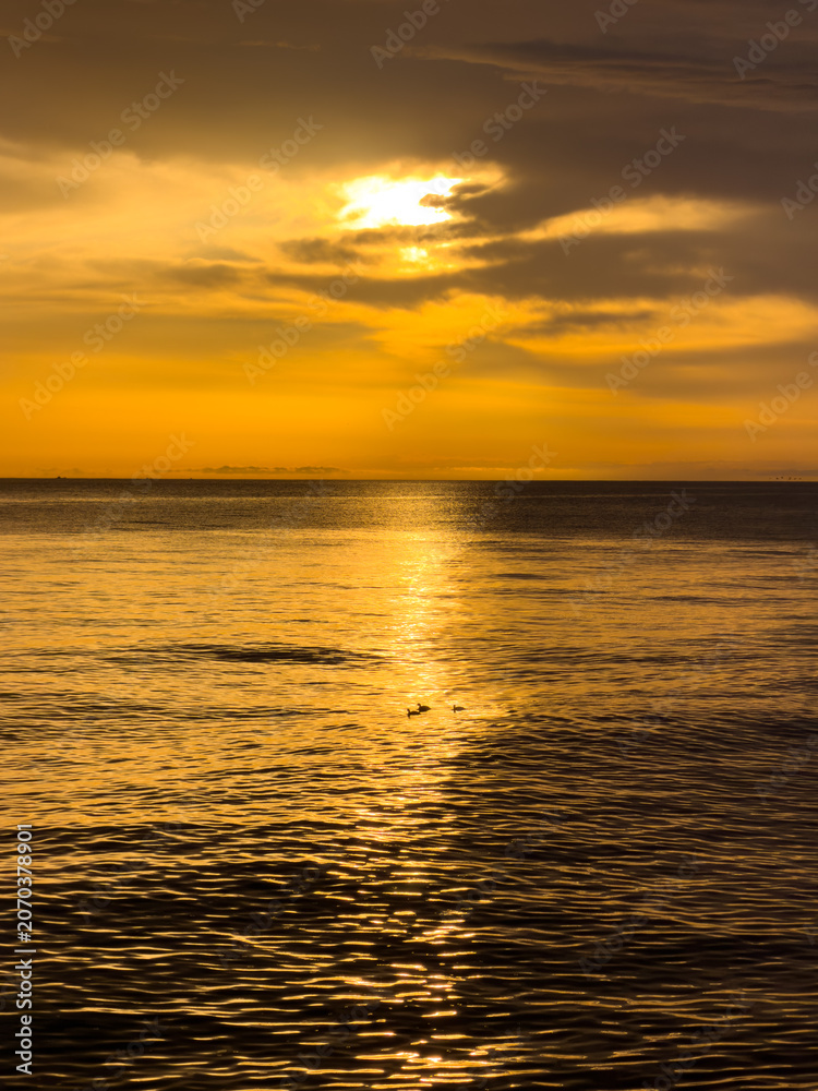 Fototapeta premium Sunset over ocean water with golden reflections and soft clouds