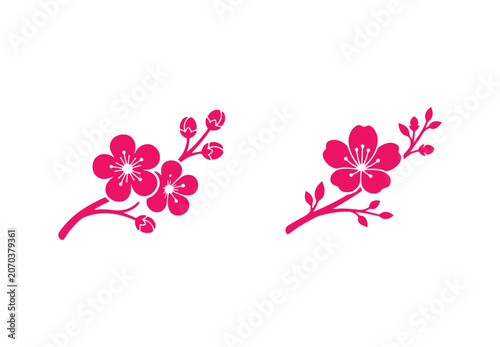 Illustrations of plum blossoms. Vector design on a plain white background.