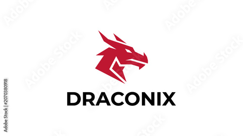 Billede på lærred Red dragon head logo symbol.