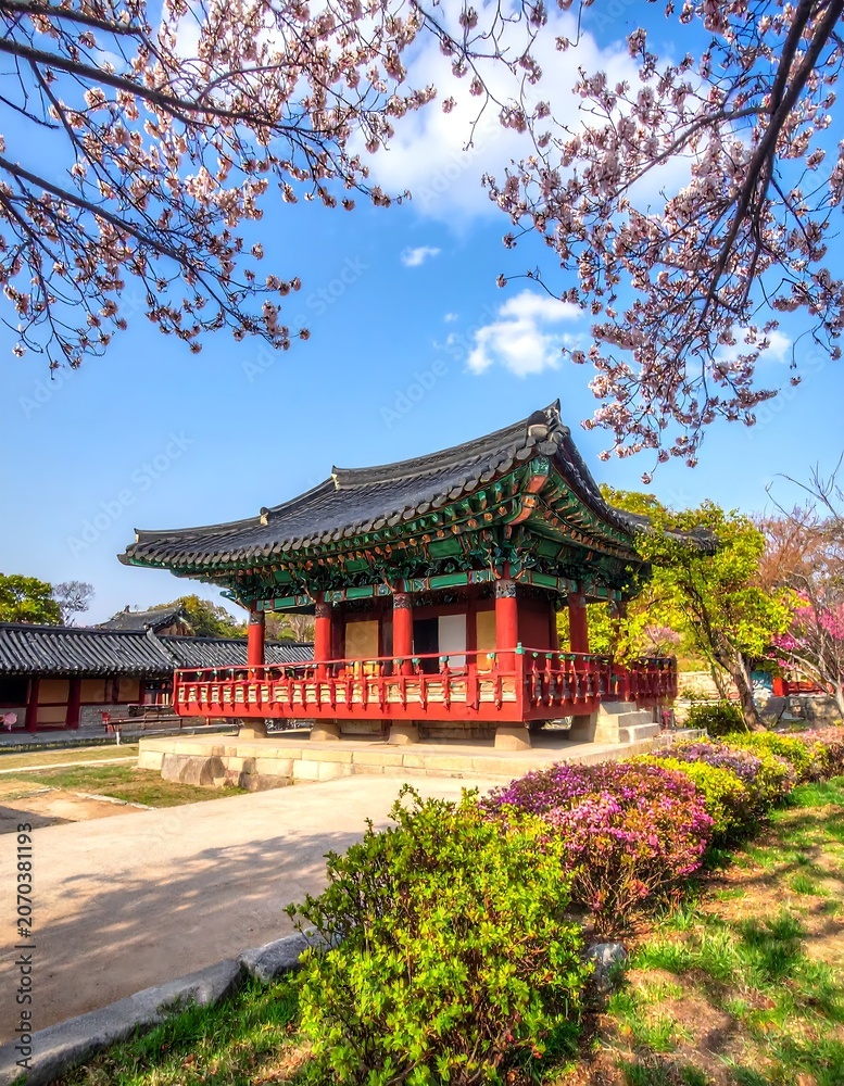 Obraz premium Traditional Korean Pavilion Surrounded by Blossoming Trees in Historic Garden