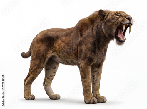 Foto Homotherium latidens roaring with its mouth fully open, displaying natural threa
