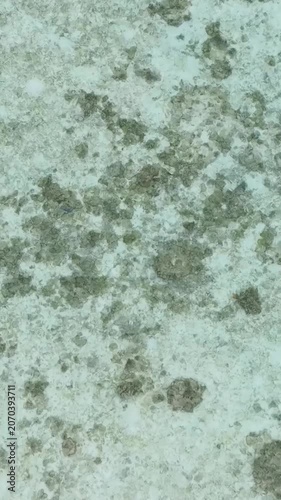 Aerial view of sea water surface in lagoon with coral reef. Borneo, Malaysia. Vertical video.