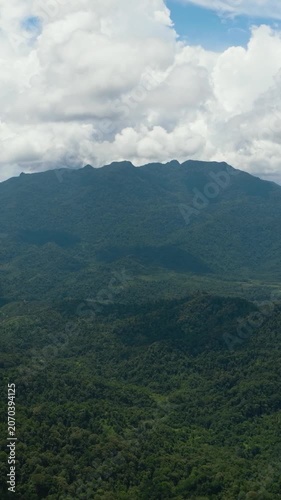 Mountain slopes covered with rainforest and jungle. View of the valley in the mountain province. Borneo, Malaysia. Vertical video.
