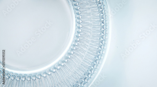 Liposome Bilayer Cross Section Macro With Hydrated Interior Detail