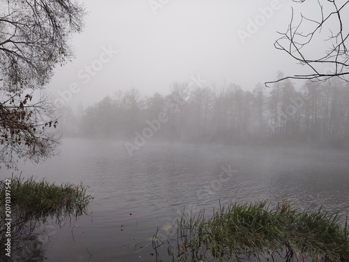 Obraz na plátně Wide foggy river with green grass on the shore and forest in thick autumn mist