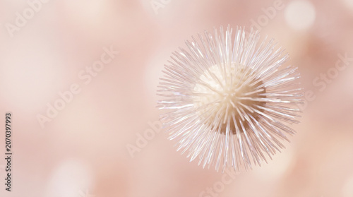 Pearlescent Micelle Macro For Luxury Skincare Ingredient Story