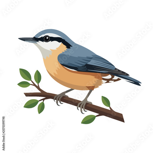 Schilderij op canvas A small nuthatch bird perched on a thin tree branch