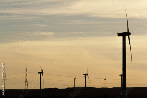 Wind Turbines Silhouetted Against Evening Sky with Copy Space