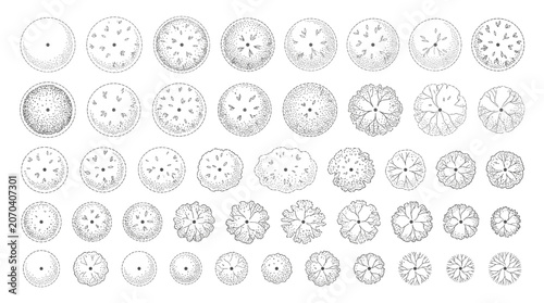 Top view CAD tree and plant symbols for landscape architecture and master planning