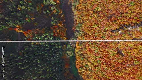 Overhead aerial view of people walking on Suspension footbridge Geierlay (Hangeseilbrucke Geierlay), Germany. 2.5x speeded up from 24 fps.