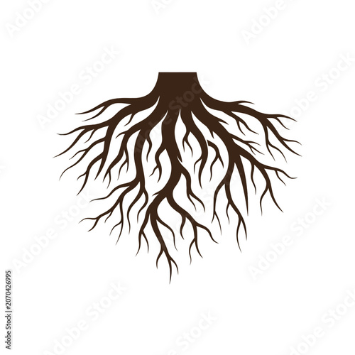 Obraz na plátně An intricate tree root silhouette spreads like tangled dark veins