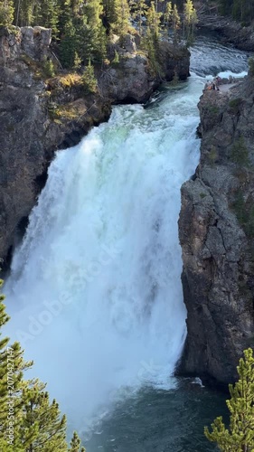 Yellowstone Upper Falls overlook