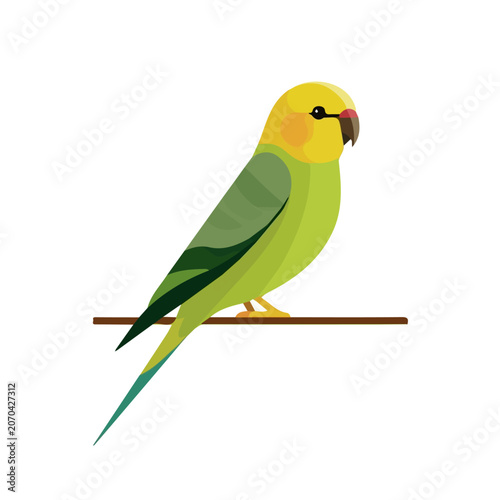 Canvas Print Simple flat 2D vector graphic of Parakeet, modern icon look, displayed on a pure white background