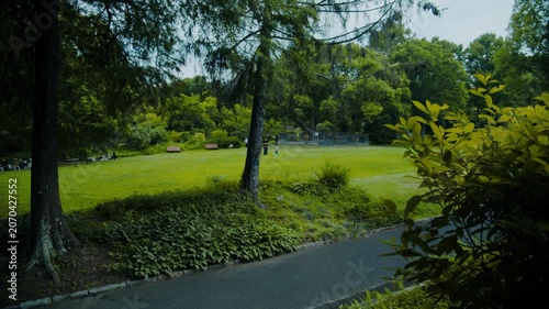 木陰から望む芝生広場と遊歩道 緑あふれる植物園風景 4Kシネマティック素材