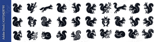 Cuadro en lienzo Squirrel Silhouettes Collection Black And White Vector Illustration squirrels