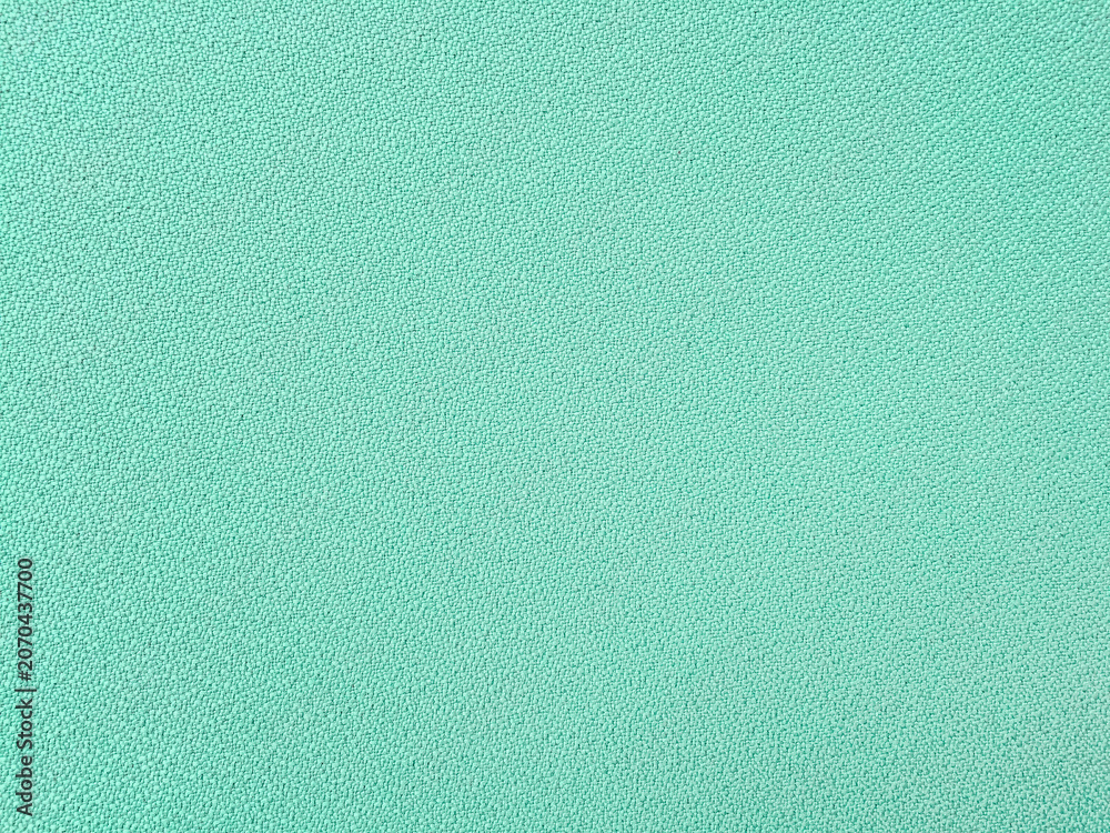 Fototapeta premium Surface Pastel Green Nylon Cloth textured background