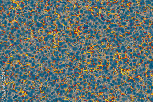 Shape of bacterial cell: cocci, bacilli, spirilla bacteria