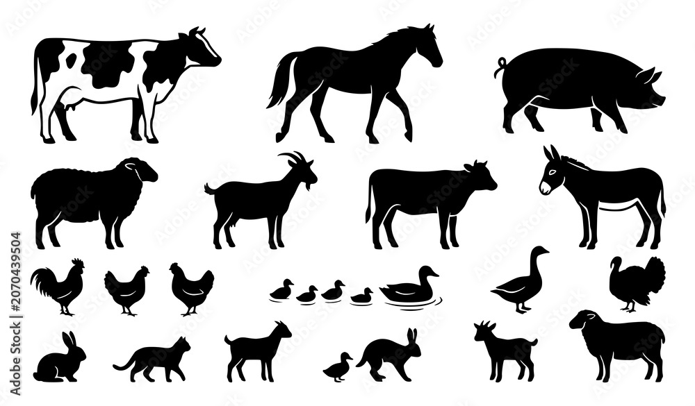 Fototapeta premium Black silhouettes of various farm animals on white background