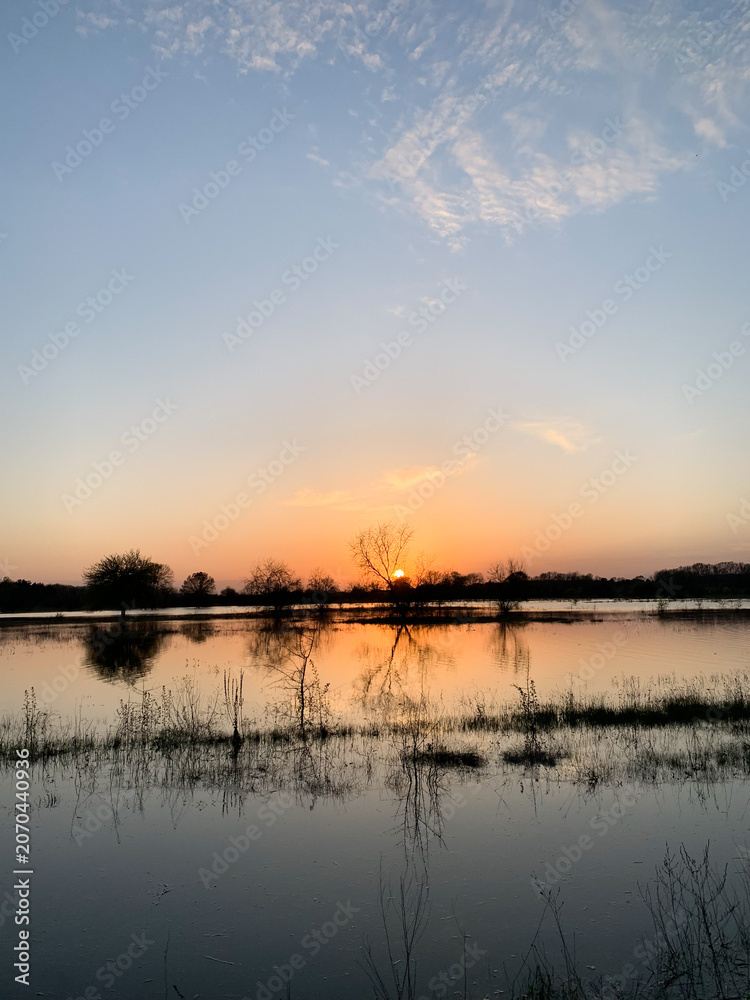 Fototapeta premium Serene sunset over flooded landscape with reflections of trees and sky